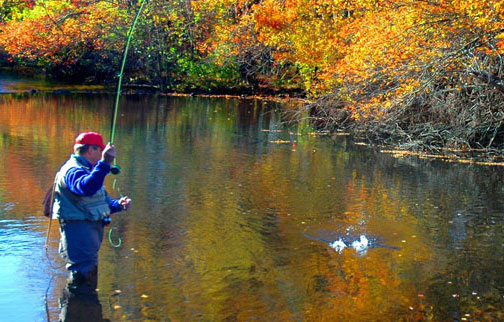 Fly fishing on the Connetquot River