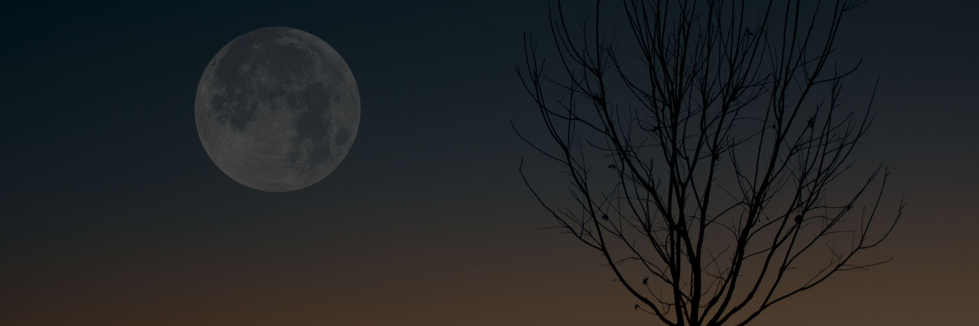 Harvest Moon Festival
