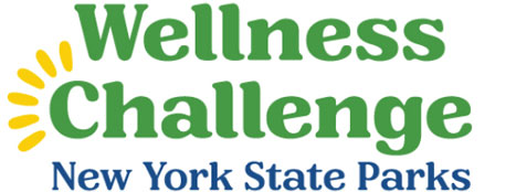 New York State Centennial Challenge